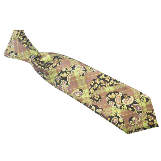 Ali 4 | Brown & Gold Paisley | Necktie