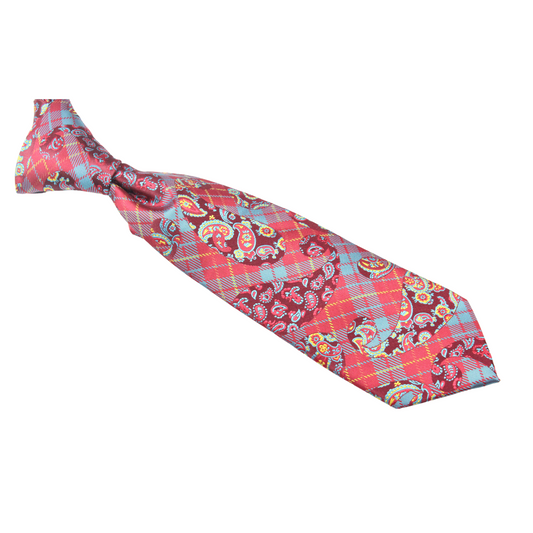 Ali 6 | Red & Teal Paisley | Necktie